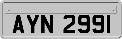 AYN2991