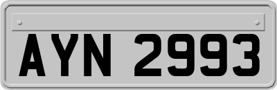 AYN2993