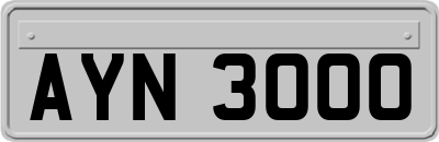 AYN3000