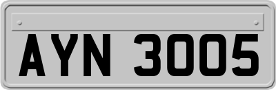AYN3005