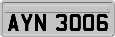 AYN3006