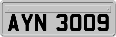 AYN3009