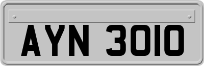 AYN3010