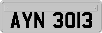 AYN3013
