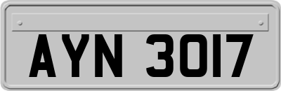 AYN3017