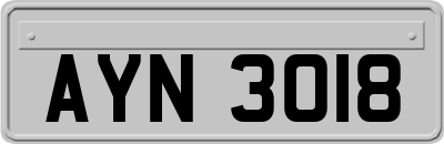 AYN3018