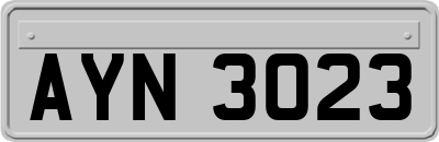 AYN3023