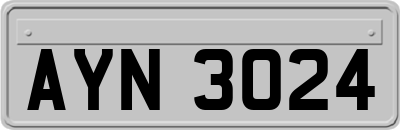 AYN3024