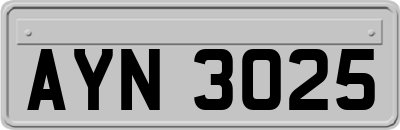 AYN3025