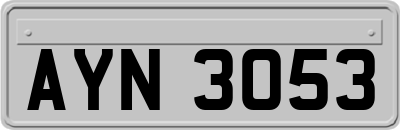 AYN3053