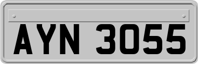 AYN3055