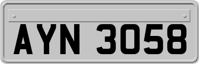 AYN3058