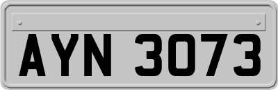 AYN3073