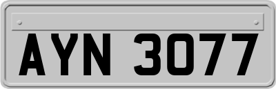 AYN3077