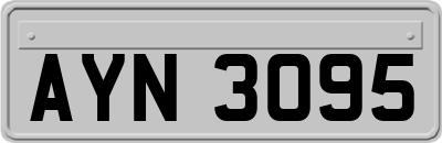 AYN3095