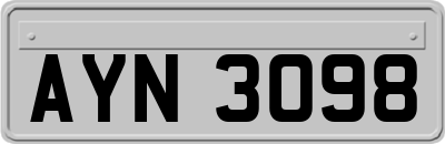 AYN3098