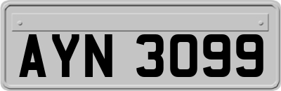 AYN3099