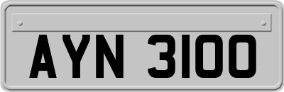 AYN3100