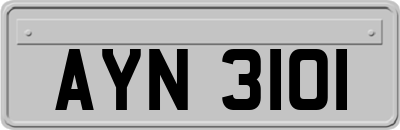 AYN3101