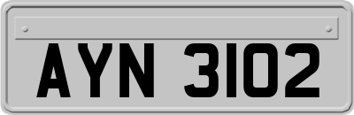 AYN3102