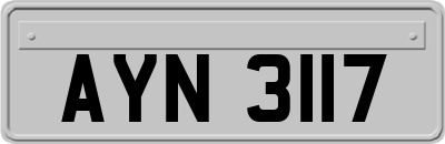AYN3117