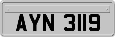 AYN3119