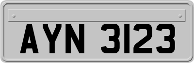 AYN3123