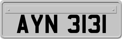 AYN3131