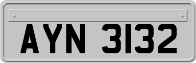 AYN3132
