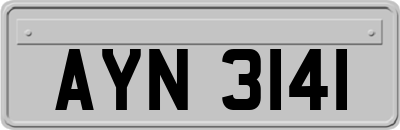 AYN3141
