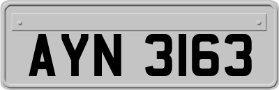 AYN3163