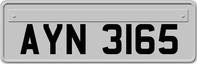AYN3165