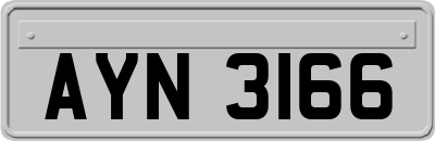 AYN3166