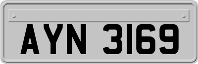AYN3169