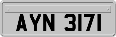 AYN3171