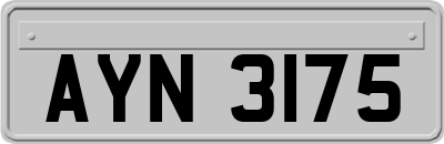 AYN3175