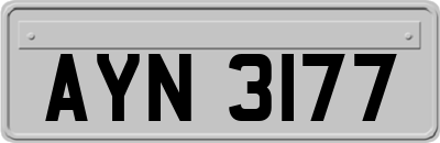 AYN3177