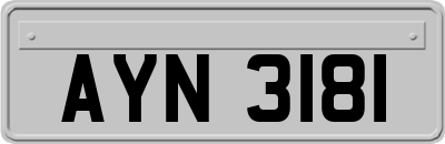 AYN3181