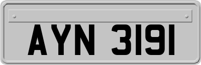 AYN3191
