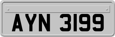 AYN3199