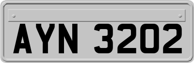 AYN3202