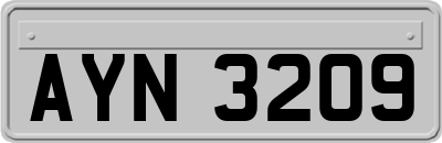AYN3209
