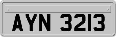 AYN3213