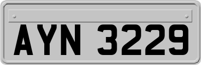 AYN3229