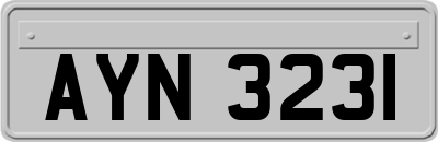 AYN3231