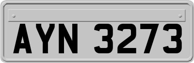 AYN3273