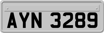 AYN3289