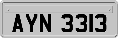 AYN3313