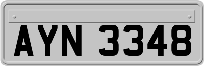 AYN3348