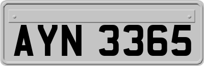AYN3365